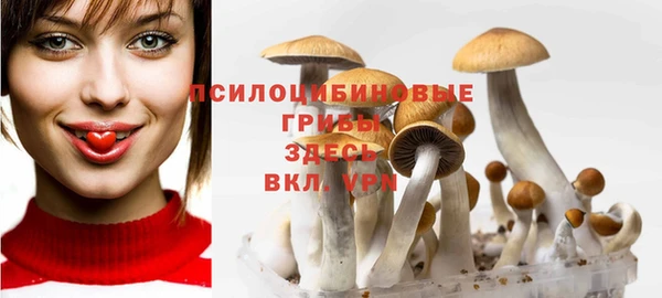 ешки Алзамай