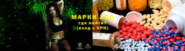 стаф Алексин