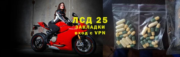 стаф Алексин