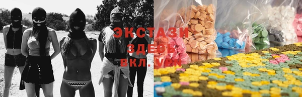 стаф Алексин