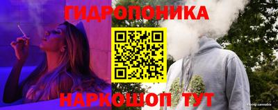 сатива Канаш