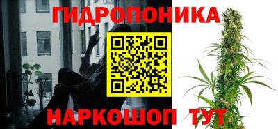 сатива Канаш