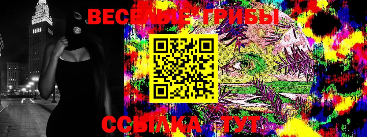 Новоуральск  Галлюциногенные грибы прущие грибы  Вход с VPN 