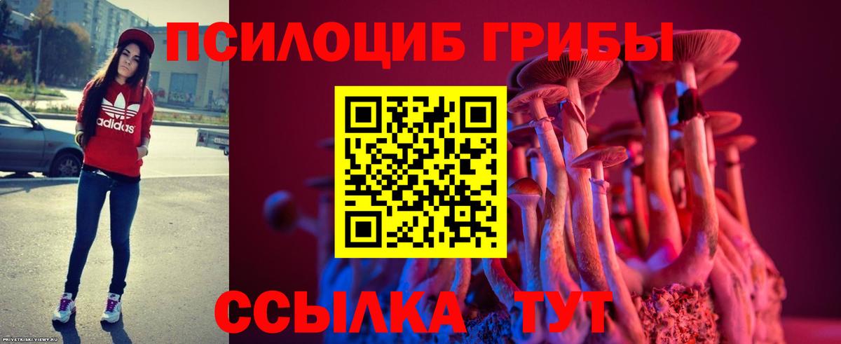 Галлюциногенные грибы прущие грибы Новоуральск